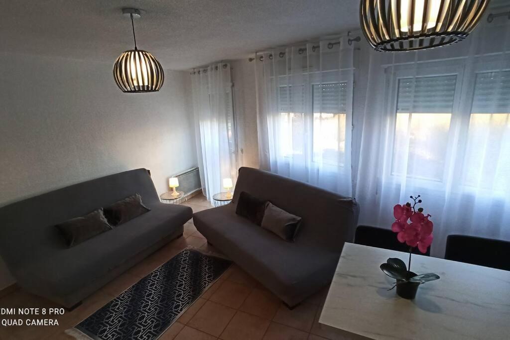 Appartement Face A La Gare Annemasse Buitenkant foto